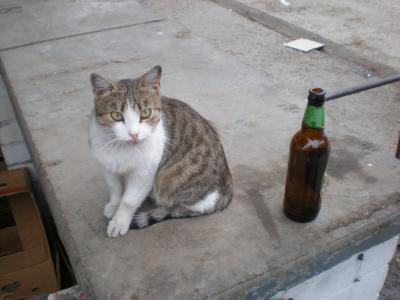 Прикрепленное изображение: DSCN6776.JPG